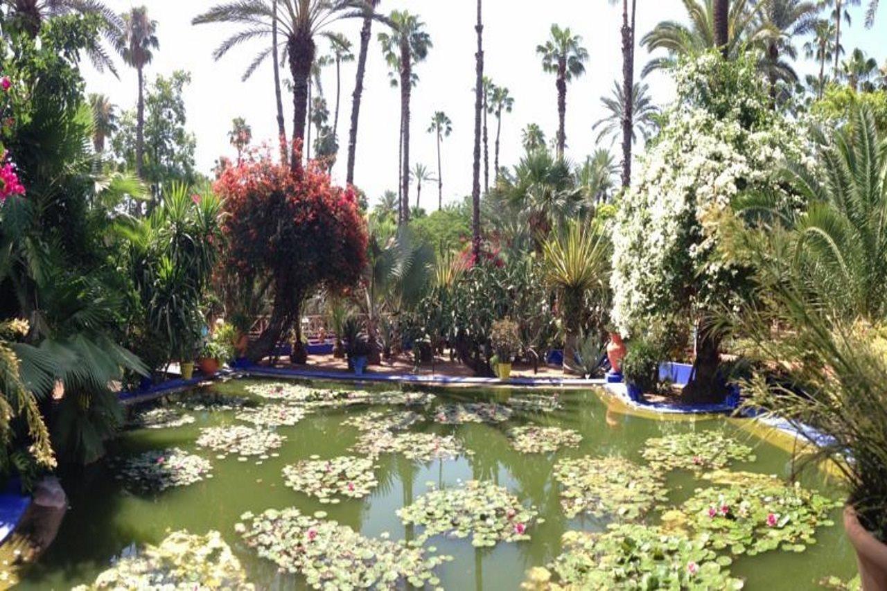 Riad Villa Harmonie Marakeş Dış mekan fotoğraf